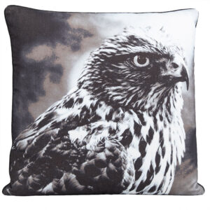 1 1099 149 5 Eagle Cushion Grey 45x45 1