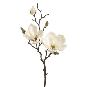 9-1825-118-6-Magnolia-Spray-Cream-1.jpg