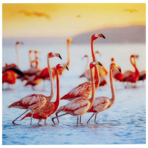 8 1353 195 11 Picture Glass Flamingo Family 80x80 1
