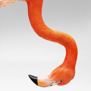 5S 1353 263 11 – Deco Object Flamingo Road 58cm (5)
