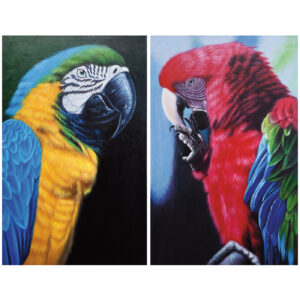 8 1353 101 3 Oil Painting Parrots 100x70 Asstd 1