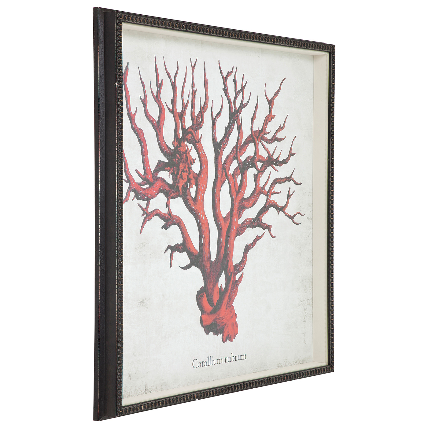 8 1353 171 5 – Picture Frame Coral Red 96x66cm (2)