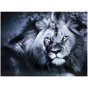 8 1353 175 6 Picture Glass Lion King Lying 120x160cm 1